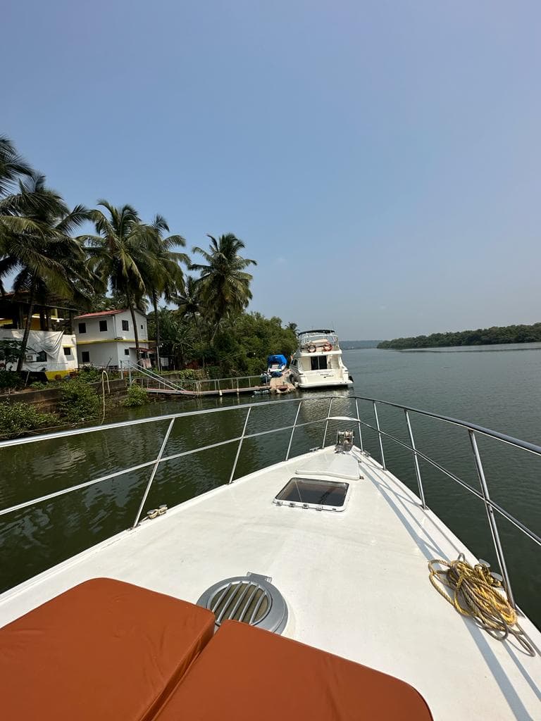 The bow moored against a Goan riverbank lined with palm trees