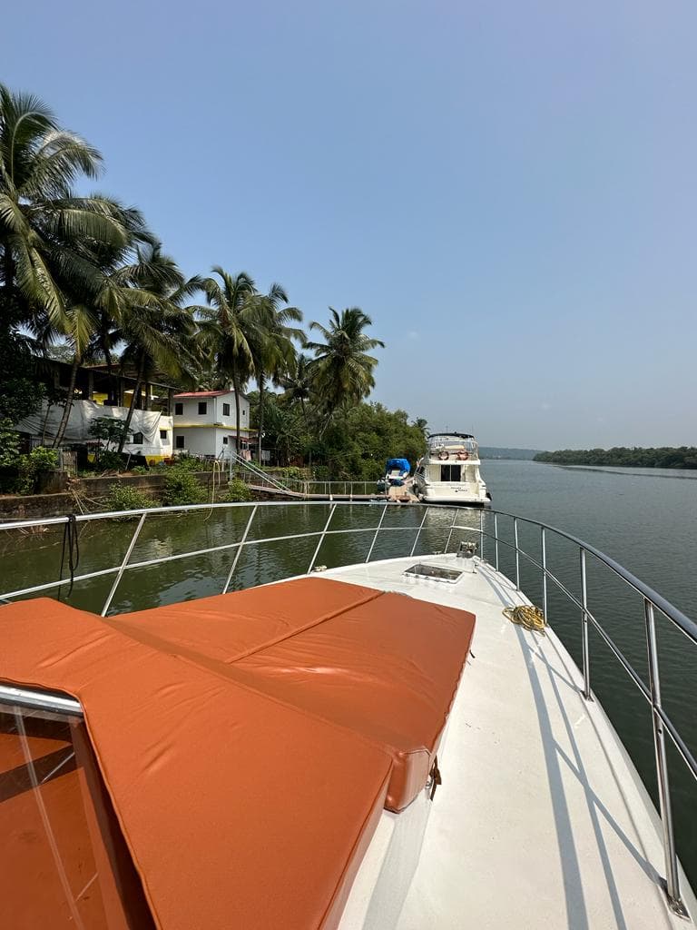 The foredeck sun pad with the Mandovi riverbank and palm trees behind
